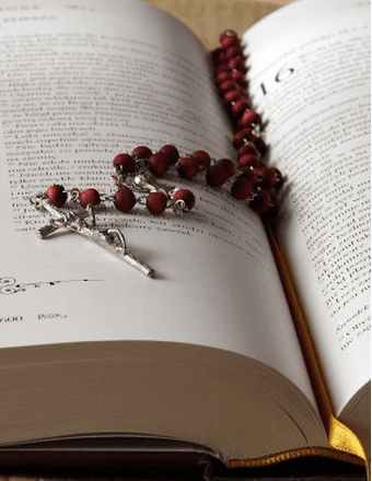 Joan Houghton Zieniewicz Obituary
